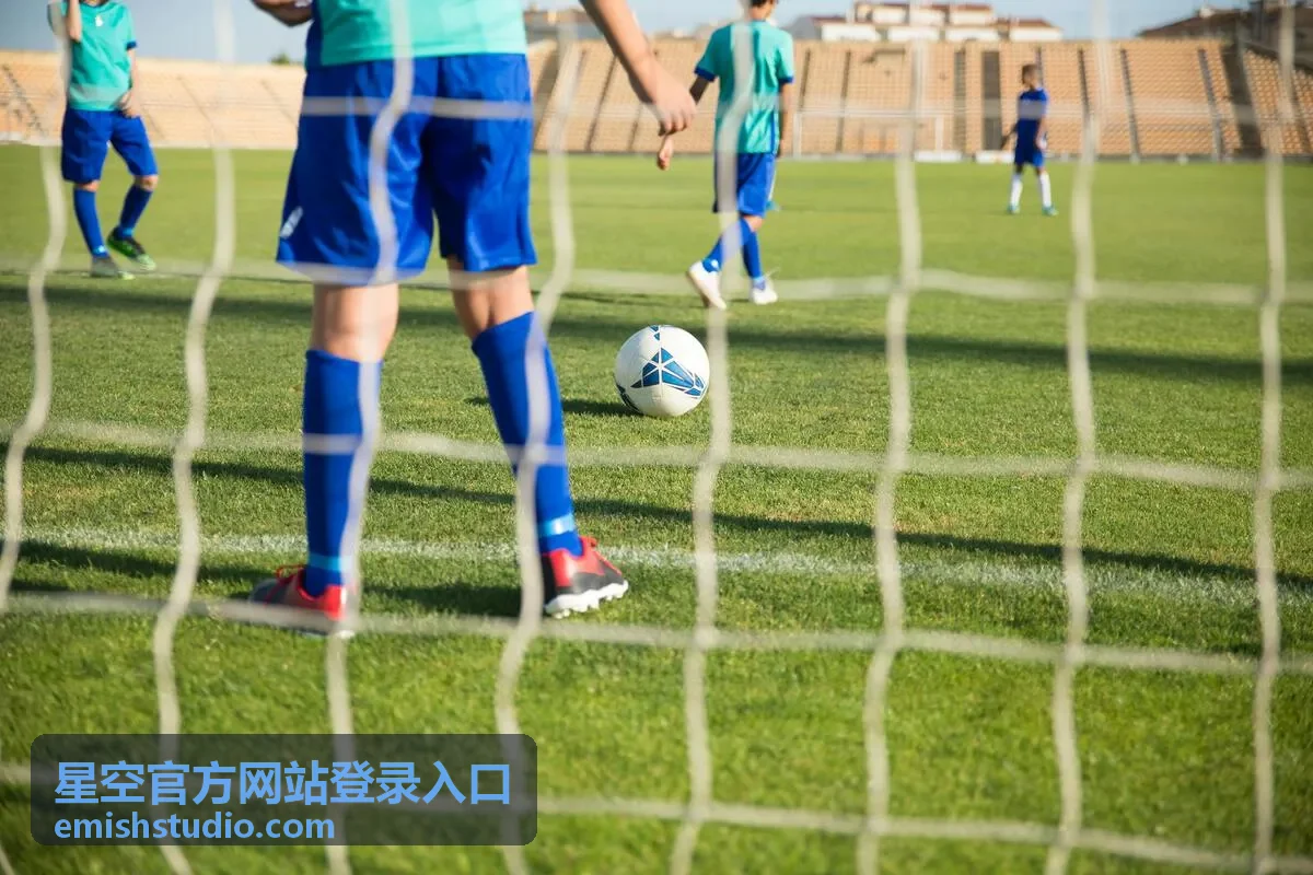 星空官方网站登录入口统一身份认证示意图